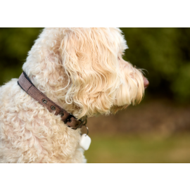 جهاز تتبع ذكي صغير يعمل مع جهاز آيفون أو أندرويد لتحديد الموقع 