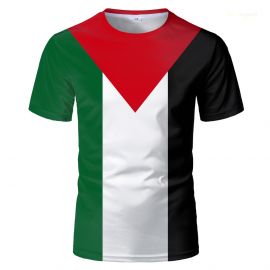 تي شيرت كاجوال بعلم فلسطين بأكمام قصيرة