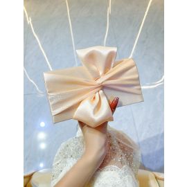 حقيبة سهرة نسائية بتصميم مستطيل مزين بفيونكة