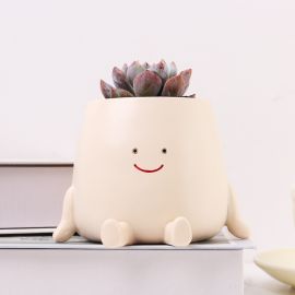 وعاء زهرة العصارة بشكل وجهه مبتسم من الراتنج 