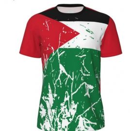 تي شيرت كاجوال مخصص للرجال بعلم فلسطين