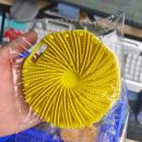 فرشاة استحمام سيليكون 